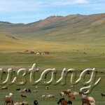Монголія - одна з найцікавіших азіатських країн