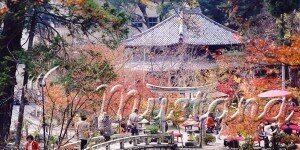 Кіото - місто тисячі храмів